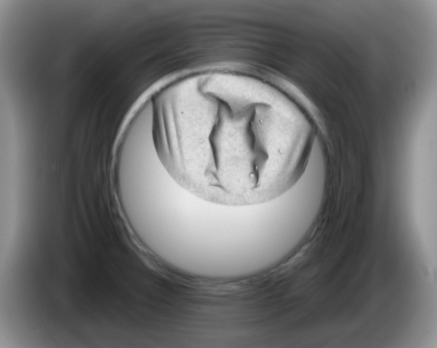 X0000083581332200703091650
