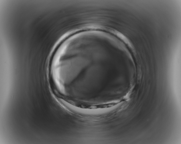 X0000083581334200703091650