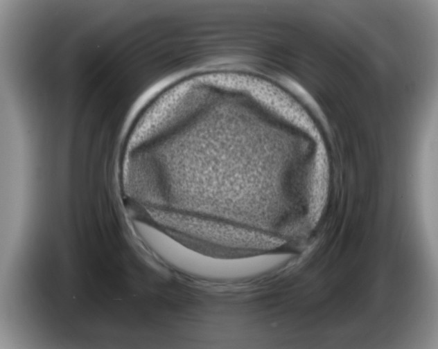 X0000083581336200703091650