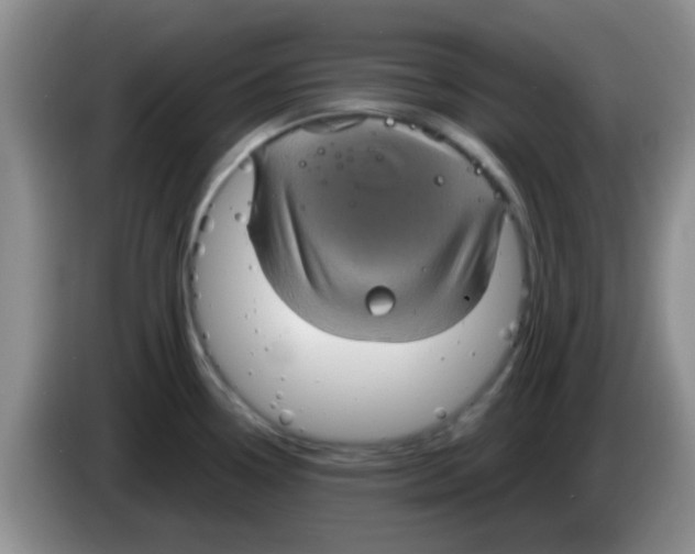 X0000083581338200703091650