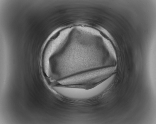 X0000083581339200703091650