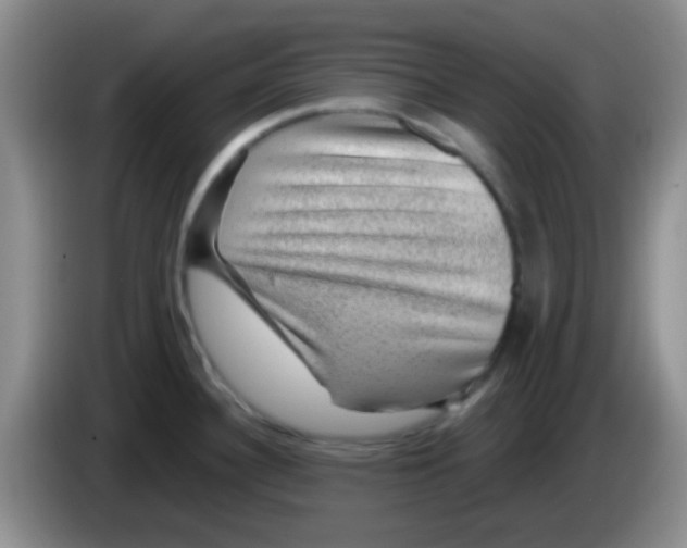 X0000083581340200703091650