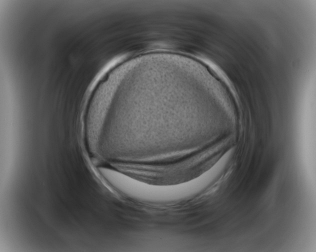 X0000083581341200703091650