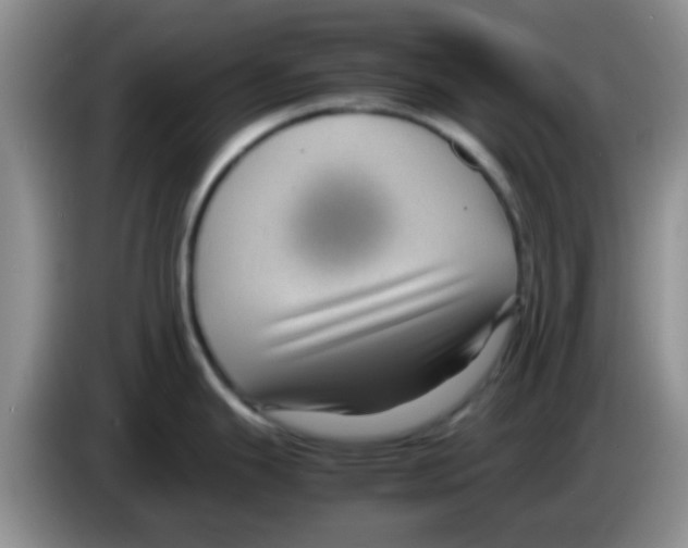 X0000083581343200703091650