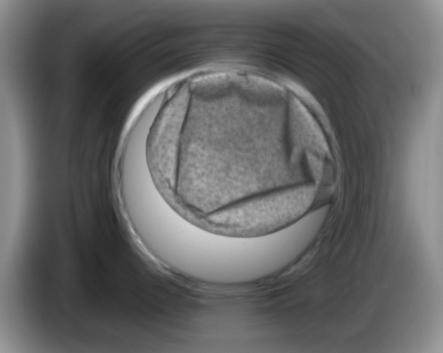 X0000083581344200703091650