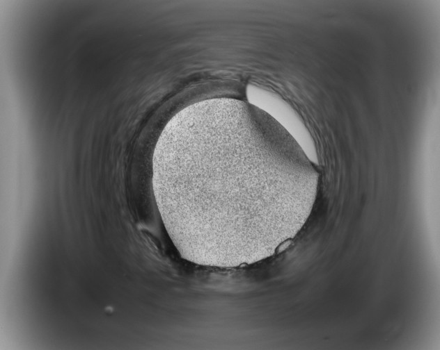 X0000083581345200703091650