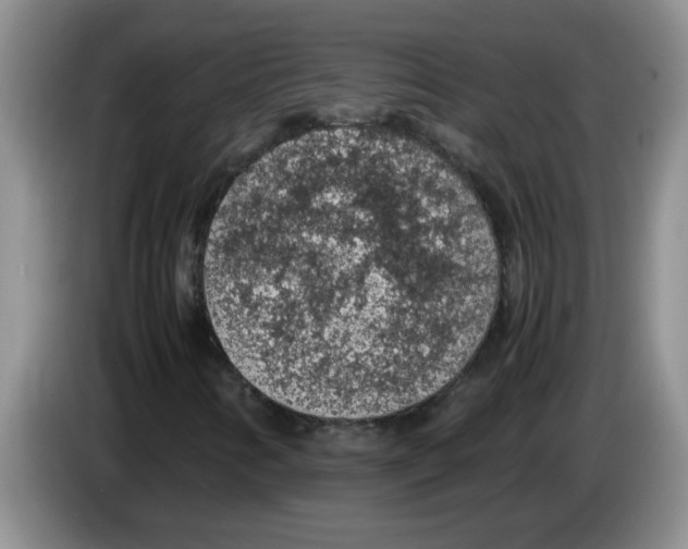 X0000083581346200703091650