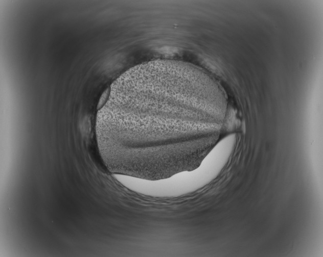 X0000083581347200703091650