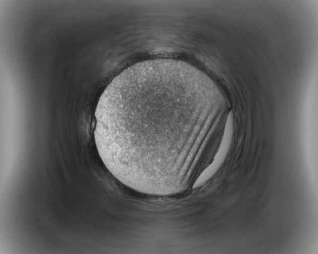 X0000083581348200703091650