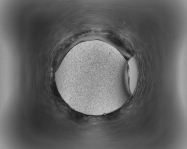 X0000083581349200703091650
