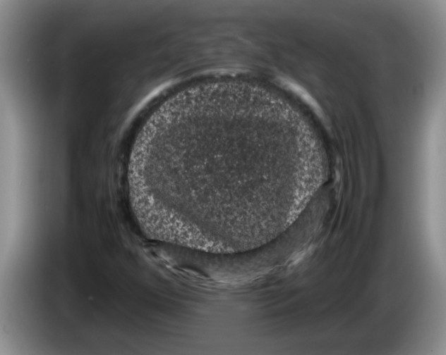 X0000083581352200703091650