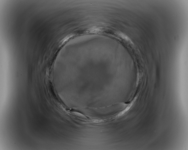 X0000083581353200703091650