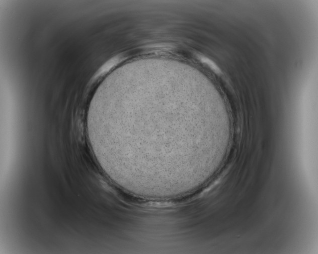 X0000083581354200703091650