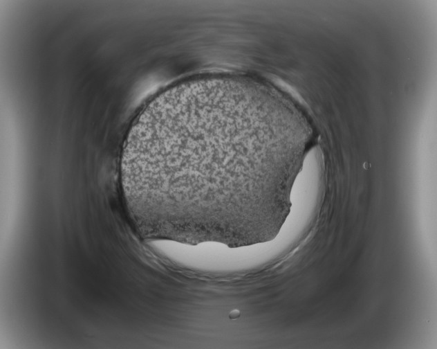 X0000083581355200703091650