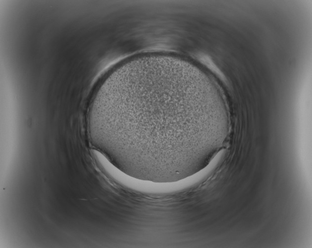X0000083581356200703091650