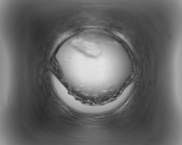 X0000083581357200703091650