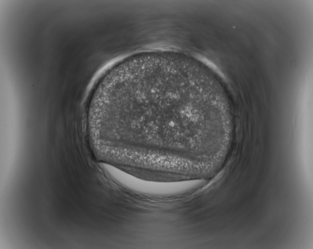 X0000083581358200703091650