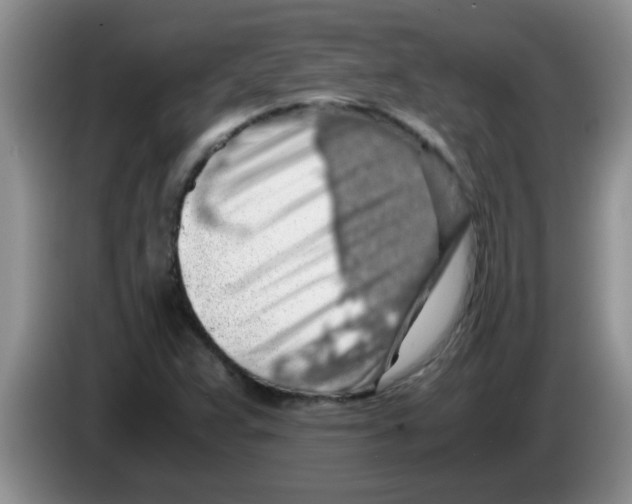X0000083581359200703091650