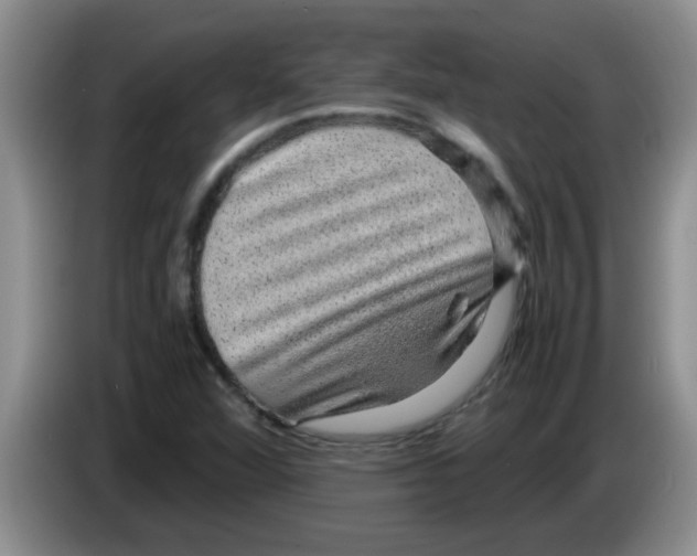 X0000083581360200703091650
