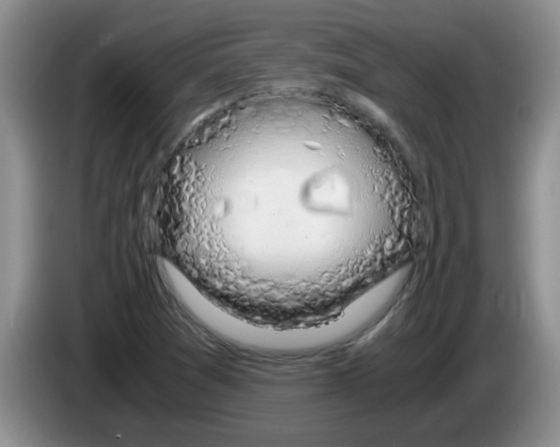 X0000083581361200703091650