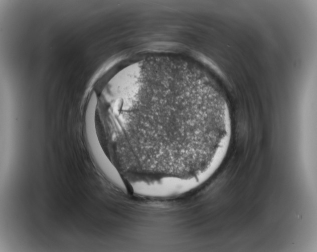 X0000083581362200703091650