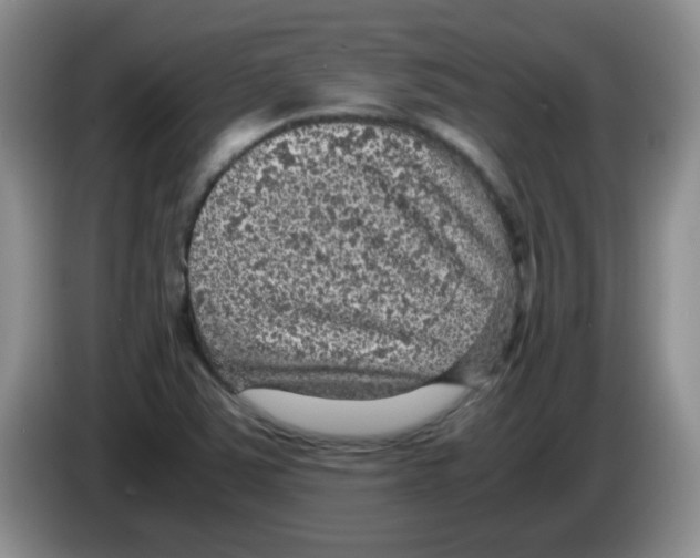 X0000083581363200703091650