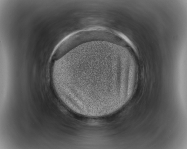 X0000083581364200703091650