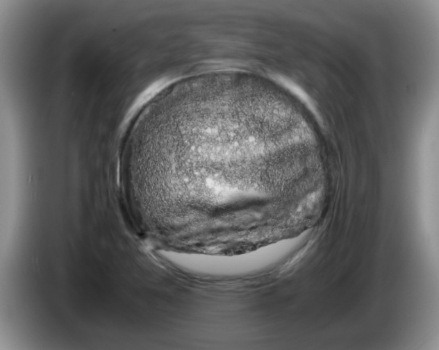 X0000083581365200703091650