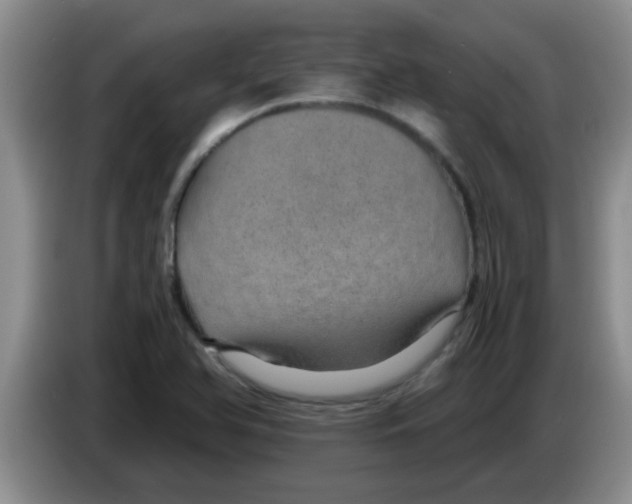 X0000083581366200703091649