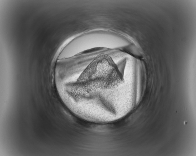 X0000083581367200703091649