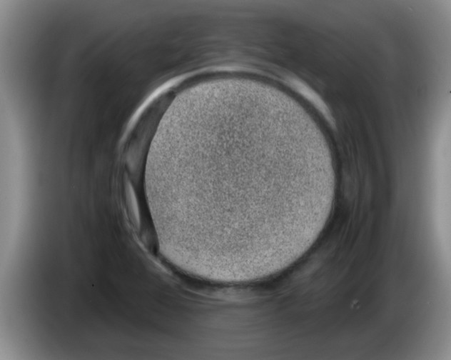 X0000083581368200703091649