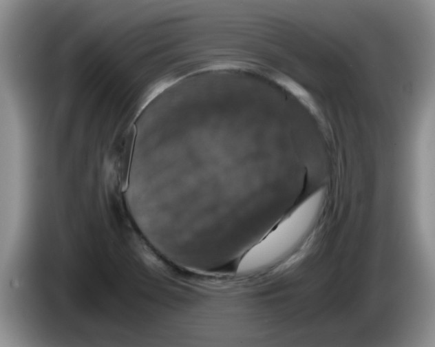 X0000083581369200703091649