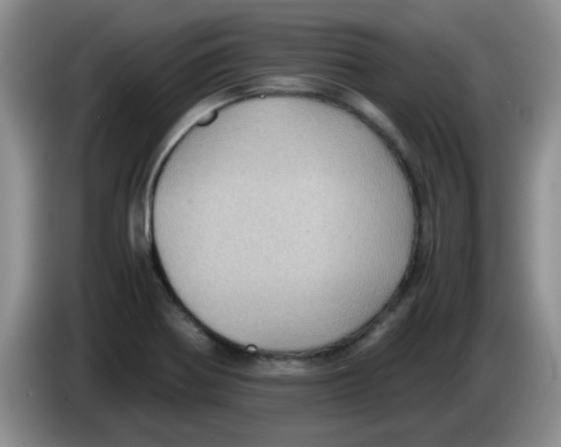 X0000083581370200703091649