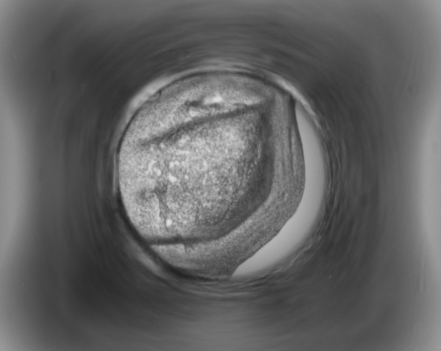 X0000083581371200703091649