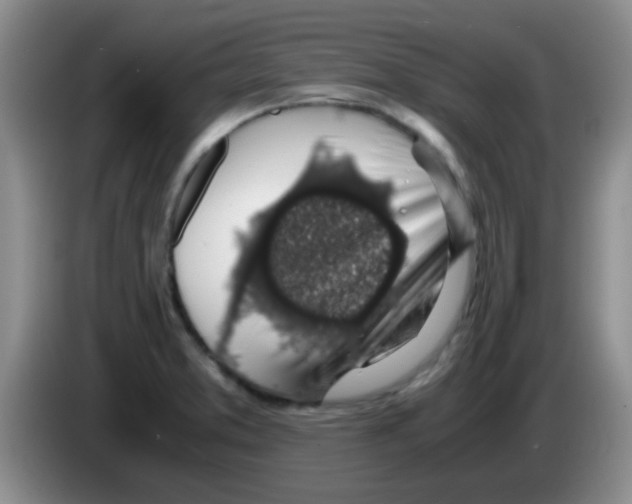 X0000083581373200703091649