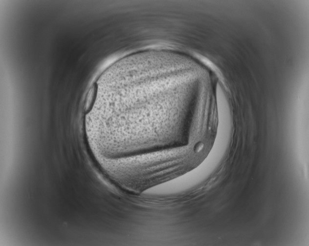 X0000083581375200703091649