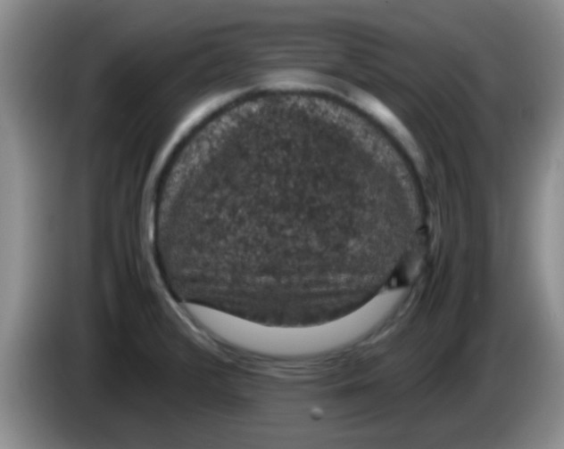 X0000083581376200703091649