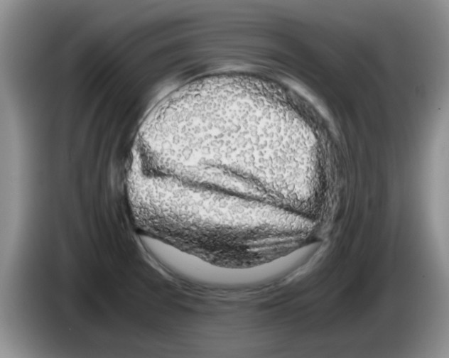 X0000083581377200703091649