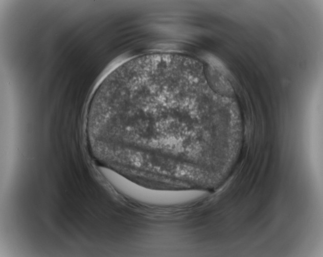 X0000083581378200703091649