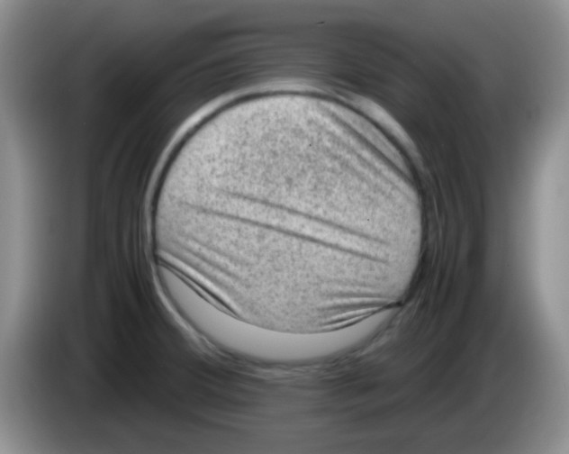 X0000083581380200703091649