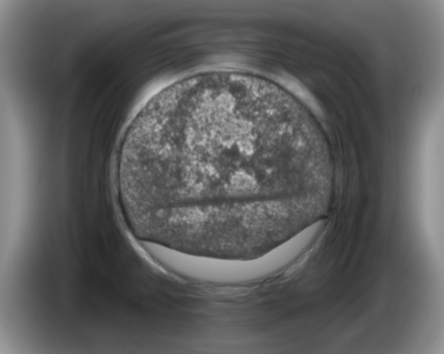 X0000083581382200703091649
