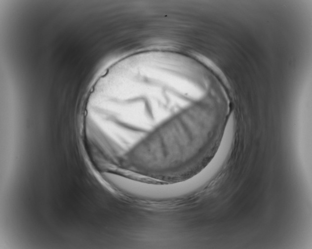 X0000083581383200703091649