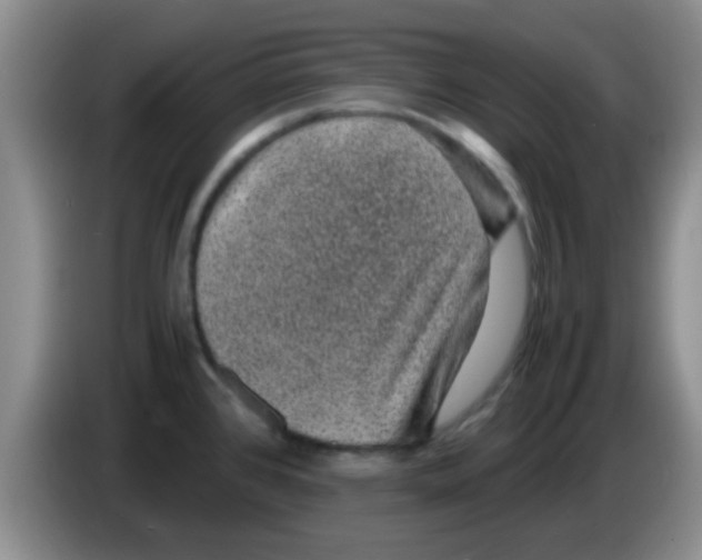 X0000083581384200703091649