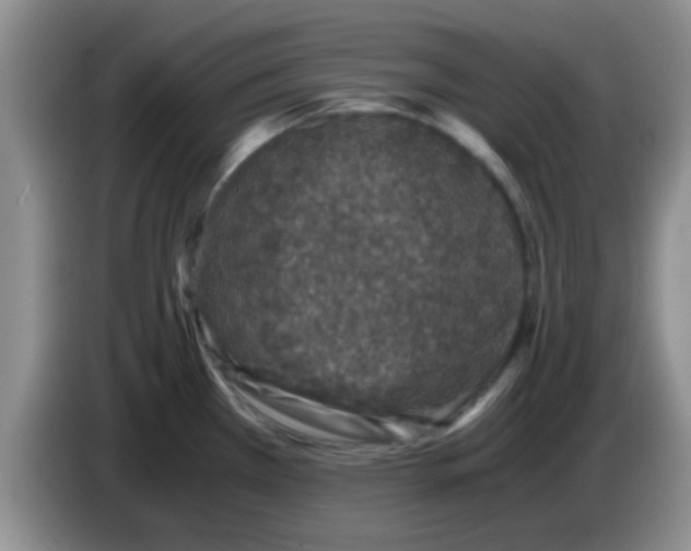 X0000083581385200703091649