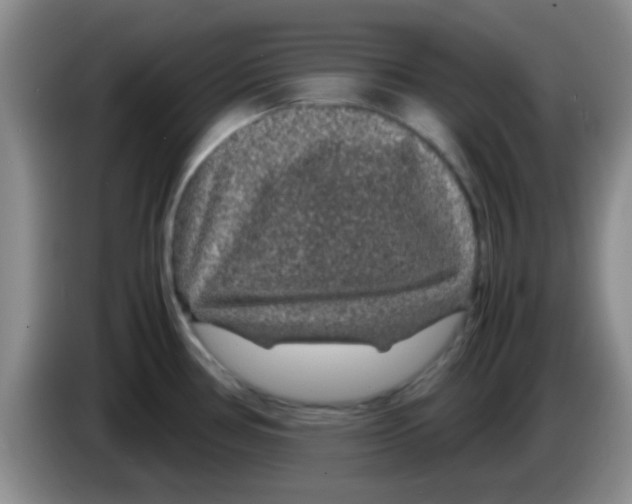 X0000083581386200703091649