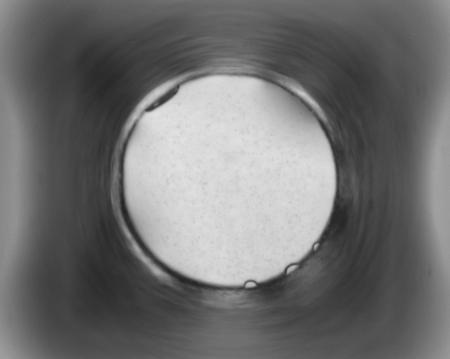 X0000083581387200703091649