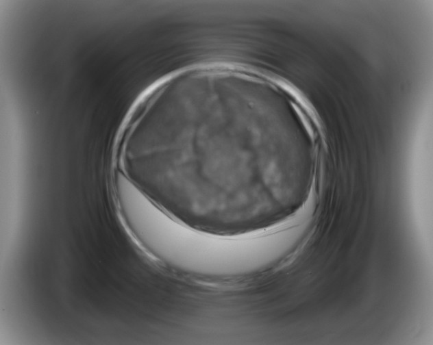 X0000083581388200703091649
