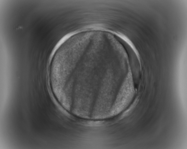 X0000083581389200703091649