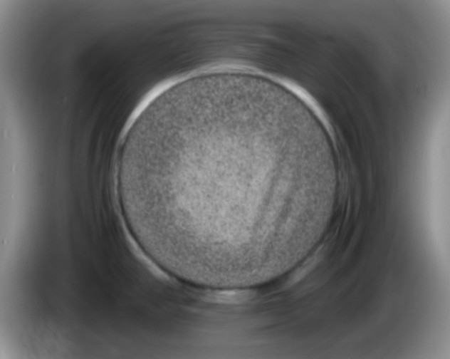 X0000083581390200703091649