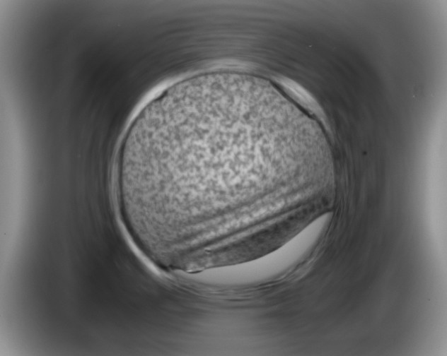 X0000083581391200703091649